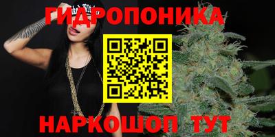 бошки Донской