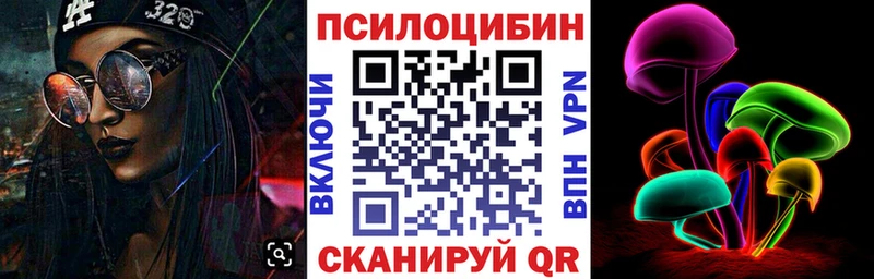 Псилоцибиновые грибы Cubensis Луга