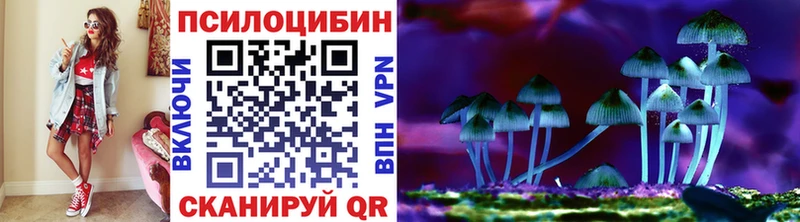 Галлюциногенные грибы Cubensis  наркотики  Луга 